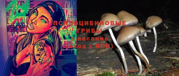 таблы Новокубанск