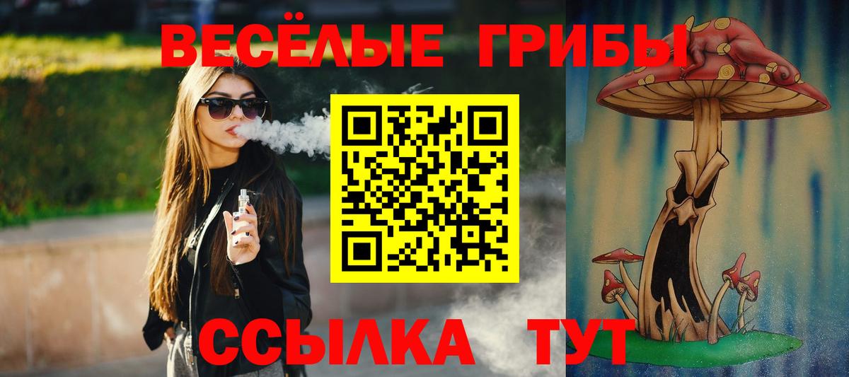 Галлюциногенные грибы мицелий  Псилоцибиновые грибы Magic Shrooms  Чита 